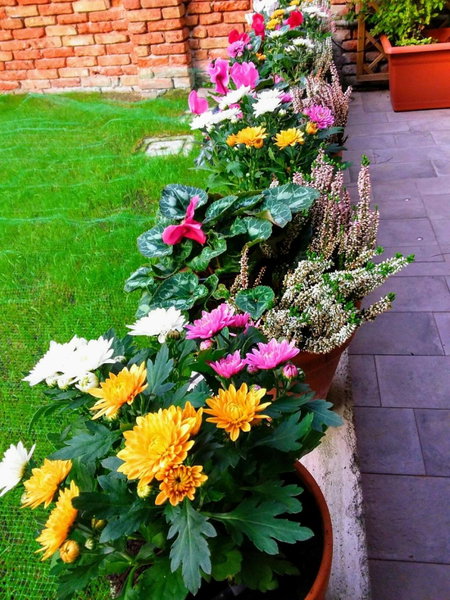 B&b Hortus, Venice, Italy