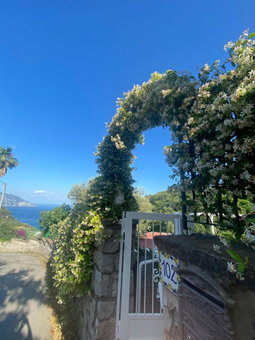 Villa Costanza sorrento B&b, Sant'Agnello, Italy