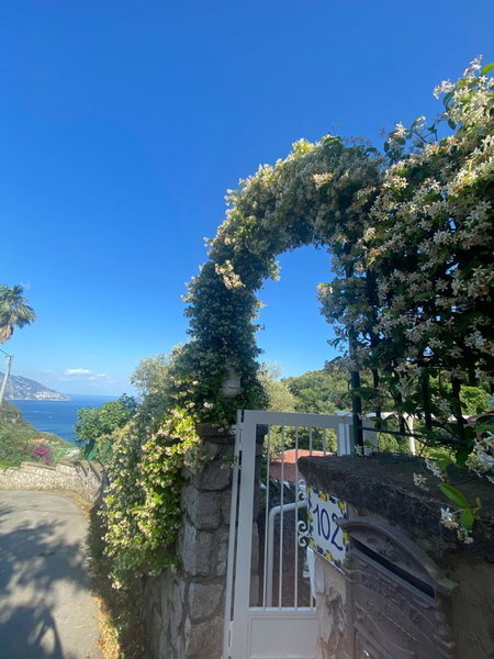 Villa Costanza sorrento B&b, Sant'Agnello, Italy