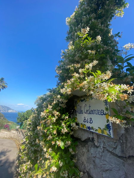 Villa Costanza sorrento B&b, Sant'Agnello, Italy