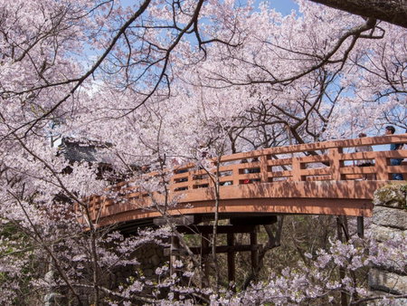Yoshinotei, Iida, Japan