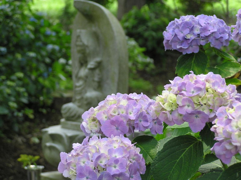 Yoshinotei, Iida, Japan