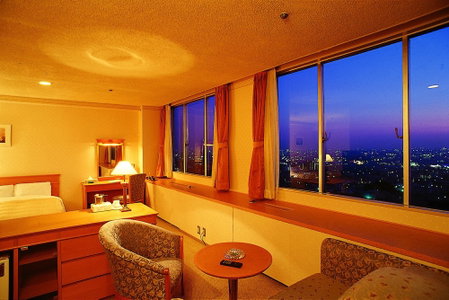 Hotel Seiryu, Higashi-osaka, Japan
