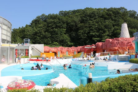 Spa Resort Hawaiians ViR Port, Iwaki, Japan