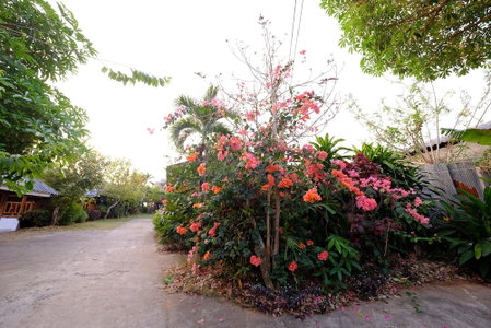 Banputawan Guesthouse, Khun Yuam, Thailand