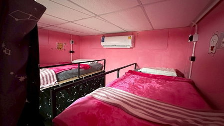 Disco Zoo Bar and Hostel, Ko Pha-ngan, Thailand