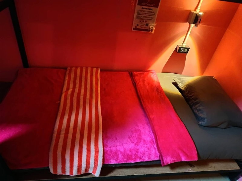 Disco Zoo Bar and Hostel, Ko Pha-ngan, Thailand