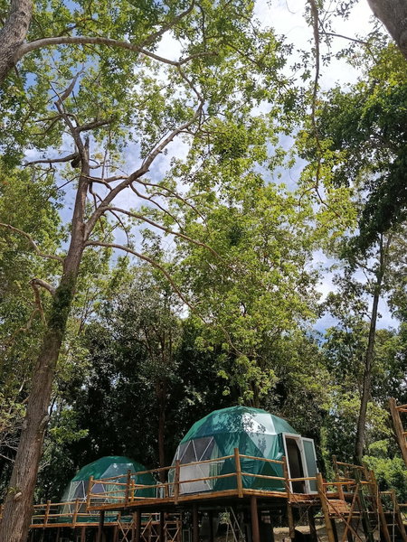 Krabi Campsite Glamping & Camping, Krabi, Thailand