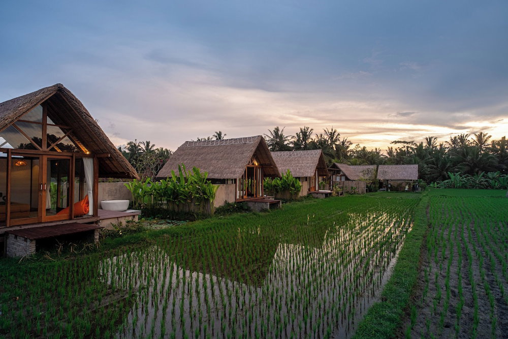 Pondok Mawas, Indonesia