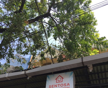 Wisma Sentosa, Makassar, Indonesia