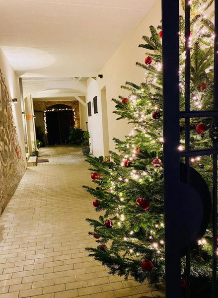 Johannis Suite - Schrangen-Suites-1389, Lüneburg, Germany