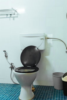 Hotel Arcadia, Panaji, India