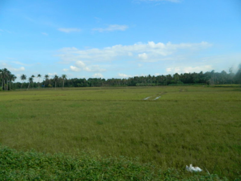 ZaMaRaYa Bed & Breakfast, Angamali, India