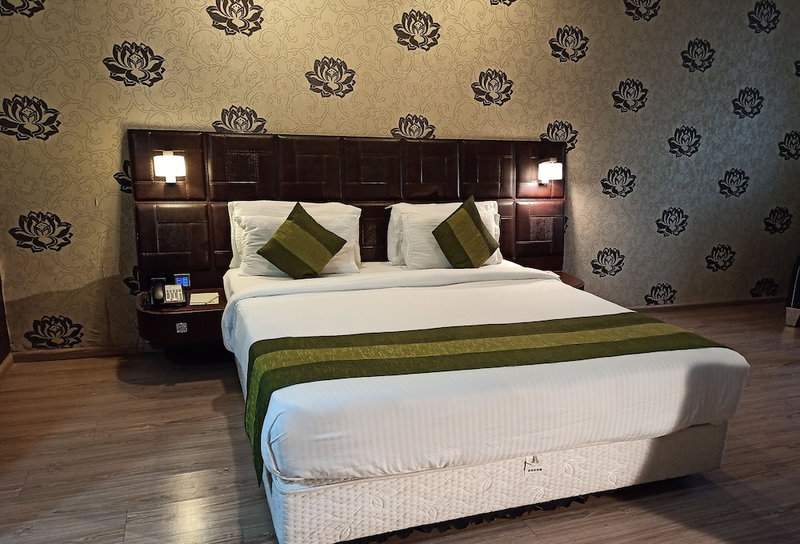 Hotel Patliputra Exotica, Patna, India