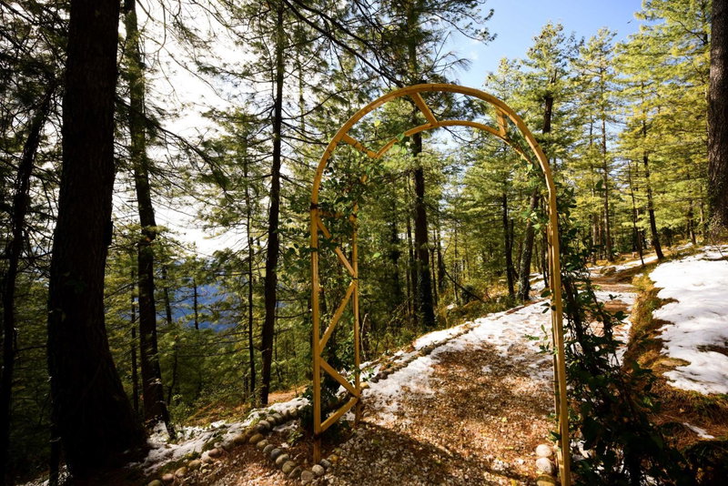 Zostel Homes Mashobra, Shimla, Mashobra, India