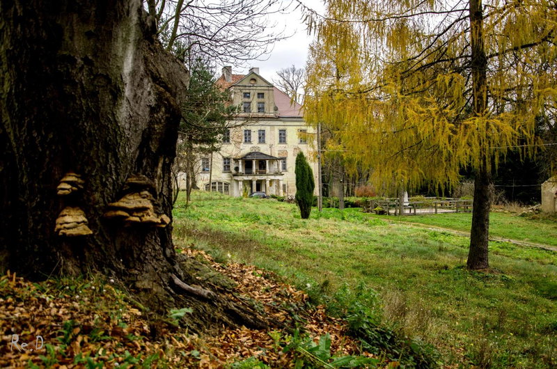 Pałac Rząsiny, Gryfów Śląski, Poland