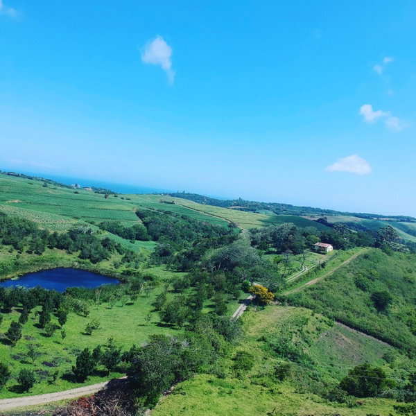 Hill Top Farm Lodge, Sea Park, South Africa