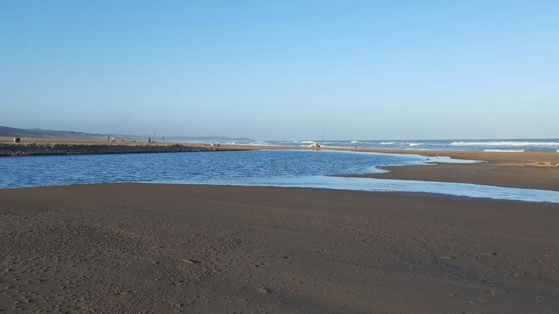 raphia on sea, Mtunzini, South Africa