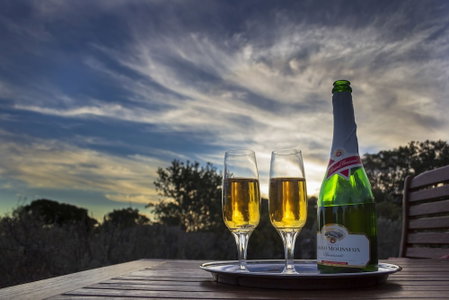 Elephants Lodge - Bellevue Forest Reserve, Paterson, South Africa
