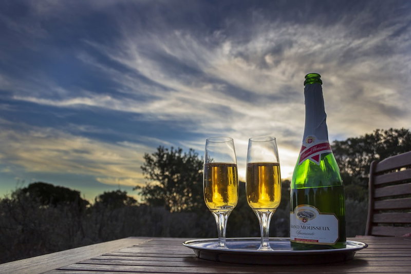 Elephants Lodge - Bellevue Forest Reserve, Paterson, South Africa