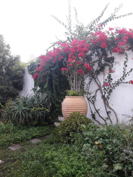 Tavira Townhome with private Garden, Tavira, Portugal