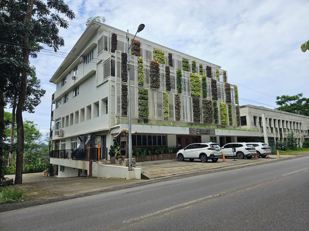 Vine and Canopy, Philippines