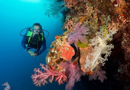 Magic Oceans Dive Resort, Anda, Philippines