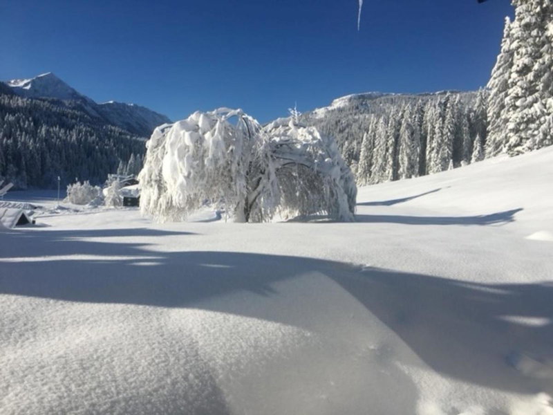 Gruppenferienwohnung am Auweg, Hirschegg, Austria