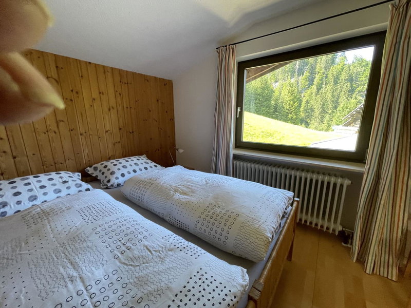 Gruppenferienwohnung am Auweg, Hirschegg, Austria