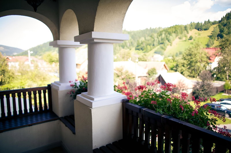Hotel Turnul, Moieciu de Jos, Romania