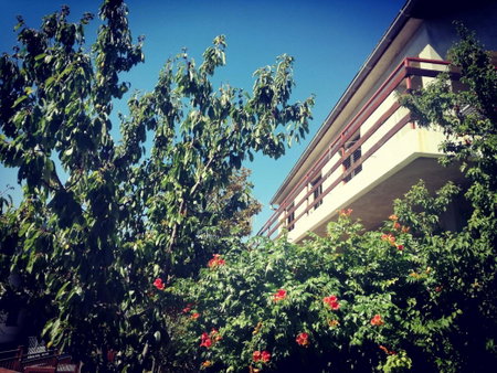 Villa Letina, Sukošan, Croatia