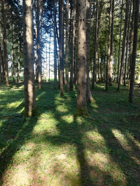 Drago Kremenjaš, Delnice, Croatia