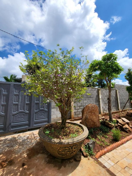 T'Farmstay villa and resort Buon Ma Thuot City, Buon Ma Thuot, Vietnam