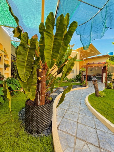 Cá Homestay Mũi Né, Mui Ne, Vietnam