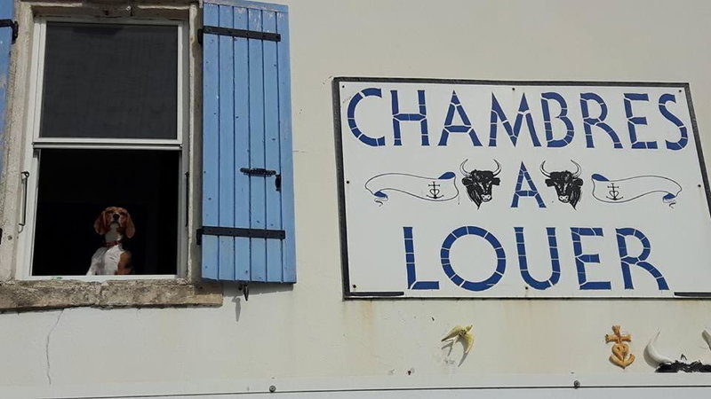 Le Cocardier, Saintes-Maries-de-la-Mer, France