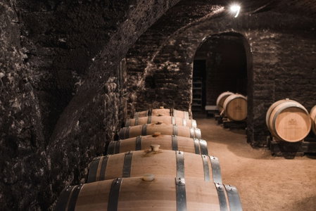 Château Armand Heitz, Chaudenay, France