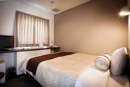 Kakegawa Station Hotel, Kakegawa, Japan