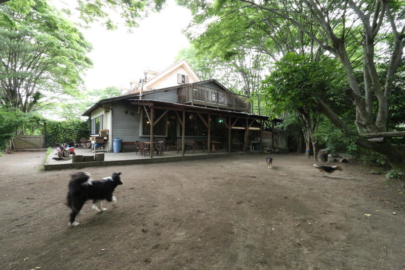 Flower Garden, Takamori, Japan