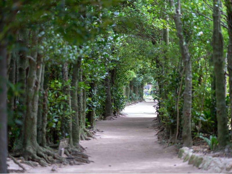 Hotel Palm Tree Hill, Okinawa City, Japan