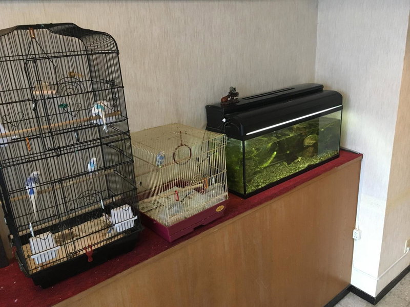 Okinawa Hotel Continental, Naha, Japan