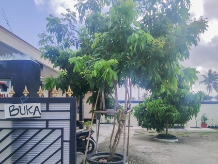 Pondok Sundawa 2 Pangandaran Mitra RedDoorz, Pangandaran, Indonesia