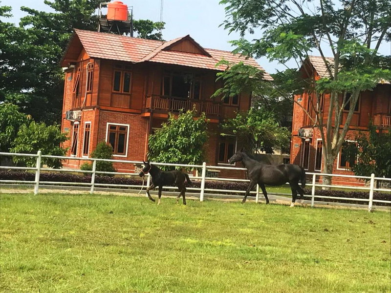 One Global Adria - Equine Estate & Resorts, Tangerang, Indonesia