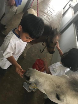 One Global Adria - Equine Estate & Resorts, Tangerang, Indonesia
