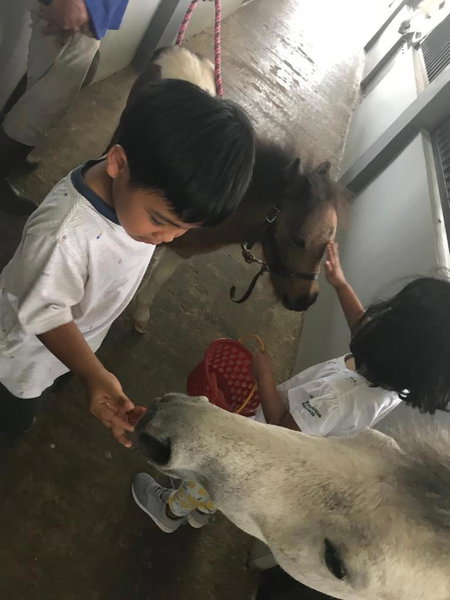 One Global Adria - Equine Estate & Resorts, Tangerang, Indonesia