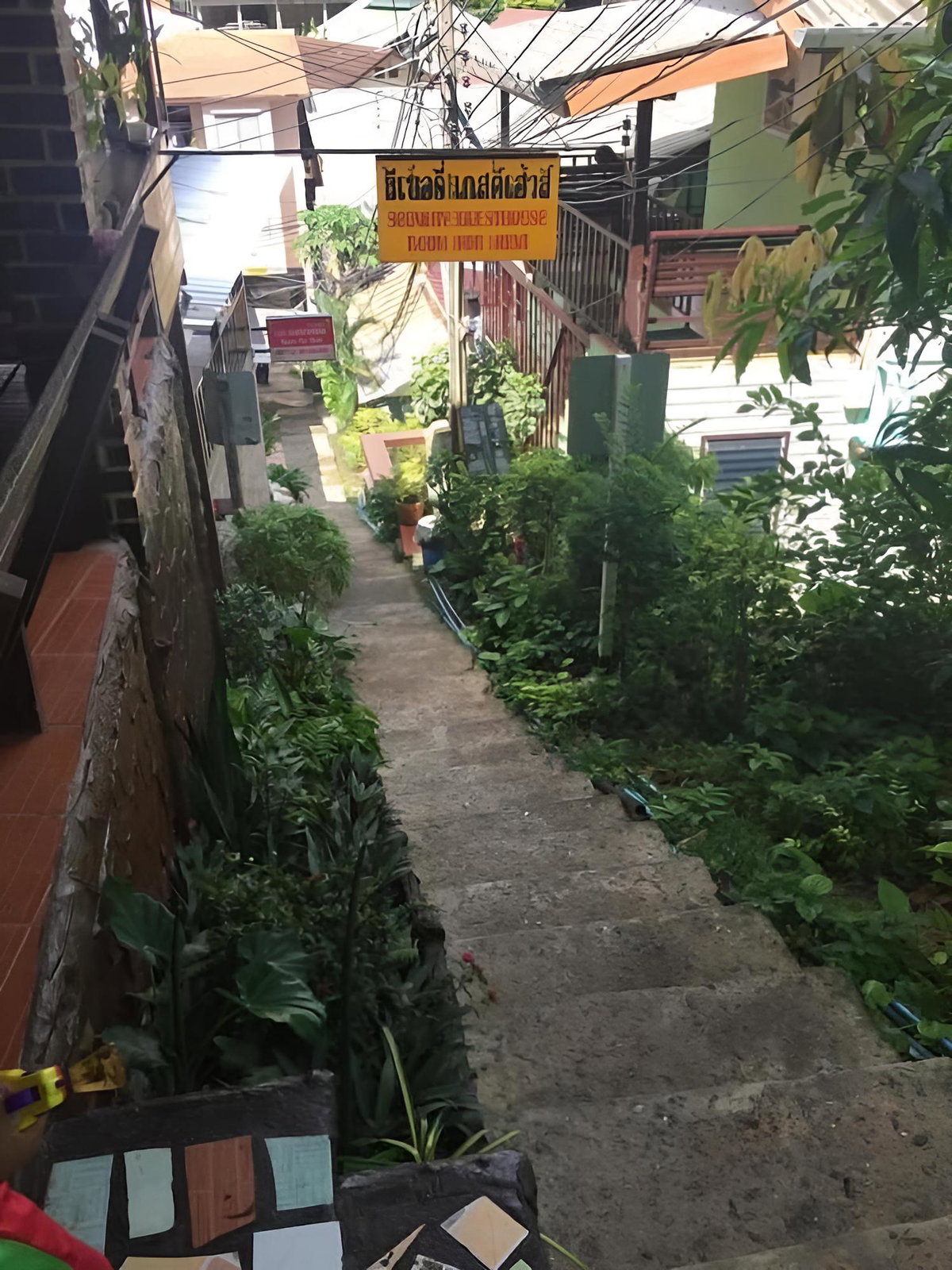 Phi Phi Scenery Guesthouse, Thailand