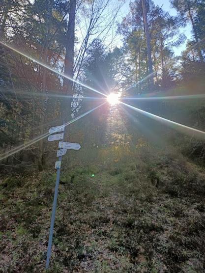Ausblick Maisenbach Talstraße, Bad Liebenzell, Germany