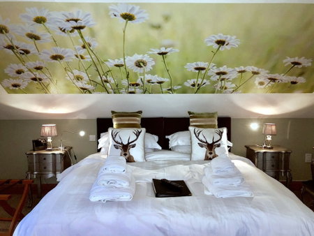 Ashbrook House B&B, Dungannon, United Kingdom