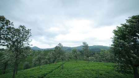 Sunvalley Homestay, Coonoor, India