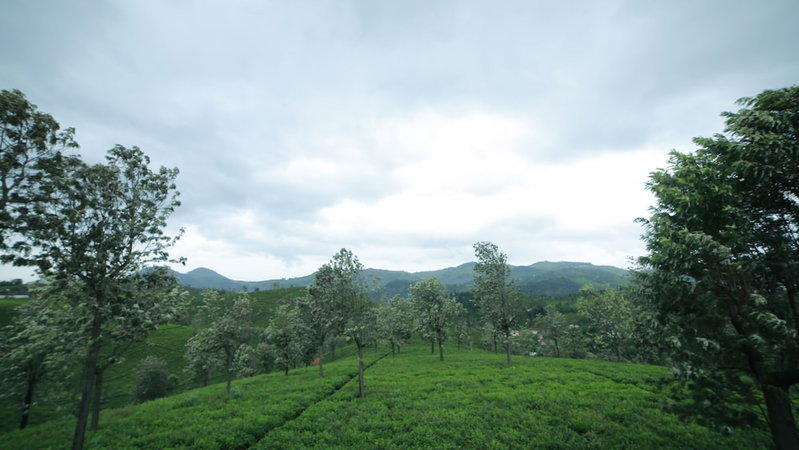 Sunvalley Homestay, Coonoor, India