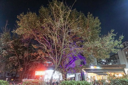 Townhouse OAK Gharonda Residency Near Sant Tukaram Nagar Metro Station, Pune, India